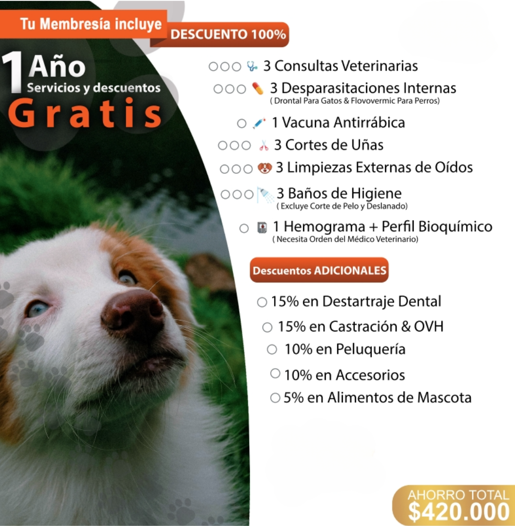 Servicios Premium Vet - Cupón de Veterinaria